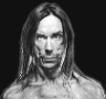 Iggy Pop
Home